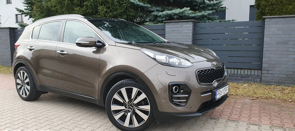 Kia Sportage cena 69900 przebieg: 115700, rok produkcji 2016 z Leszno małe 379